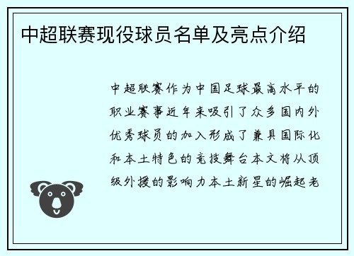 中超联赛现役球员名单及亮点介绍
