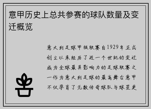 意甲历史上总共参赛的球队数量及变迁概览